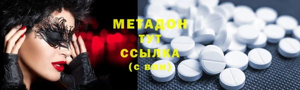 индика Алексин