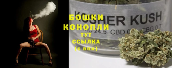 индика Алексин