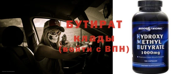 индика Алексин