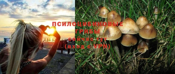 ECSTASY Алзамай