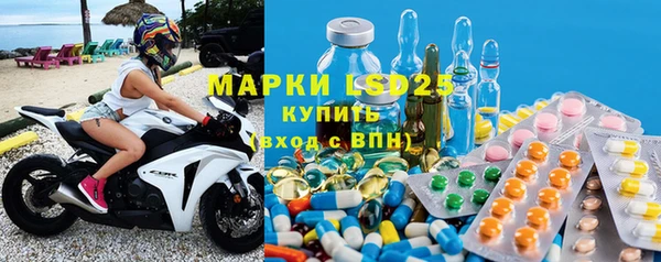 ECSTASY Алзамай