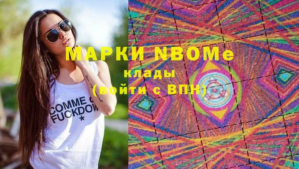 индика Алексин