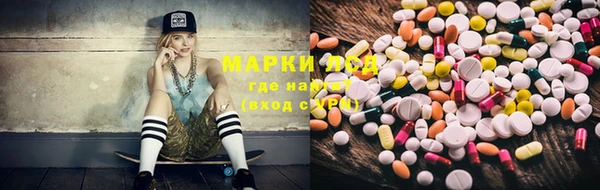 ECSTASY Алзамай